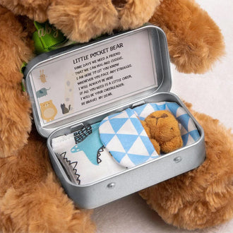 Teddybjørn i en blikkboks