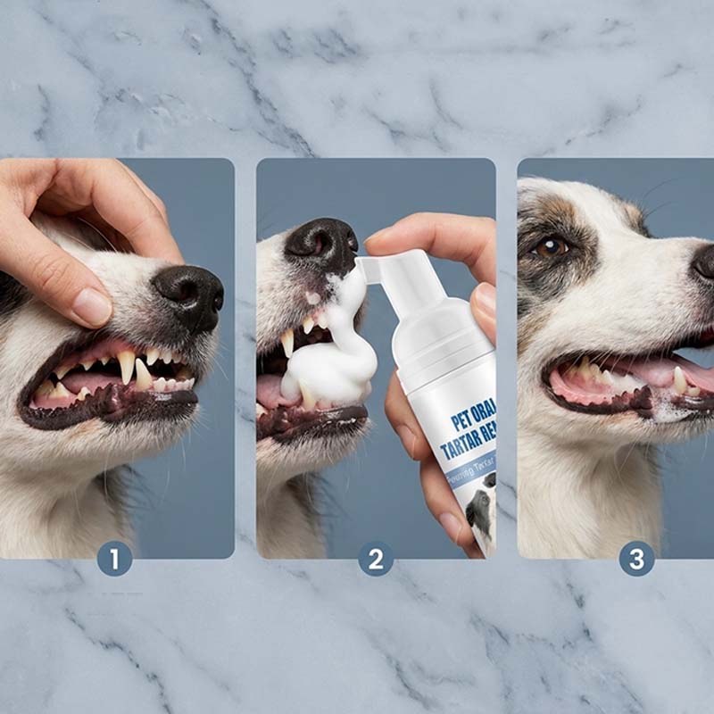 Kjæledyr Tannstein Pleiespray