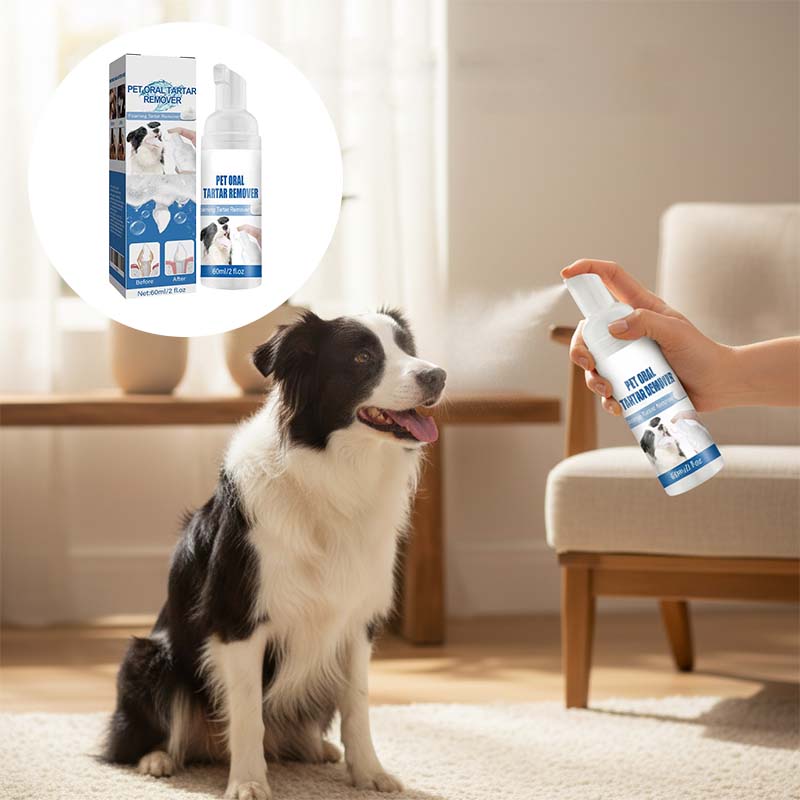 Kjæledyr Tannstein Pleiespray