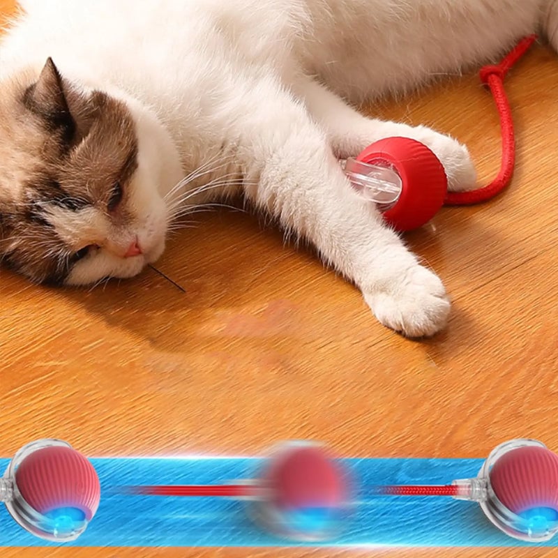 Smart Interaktiv Katteball