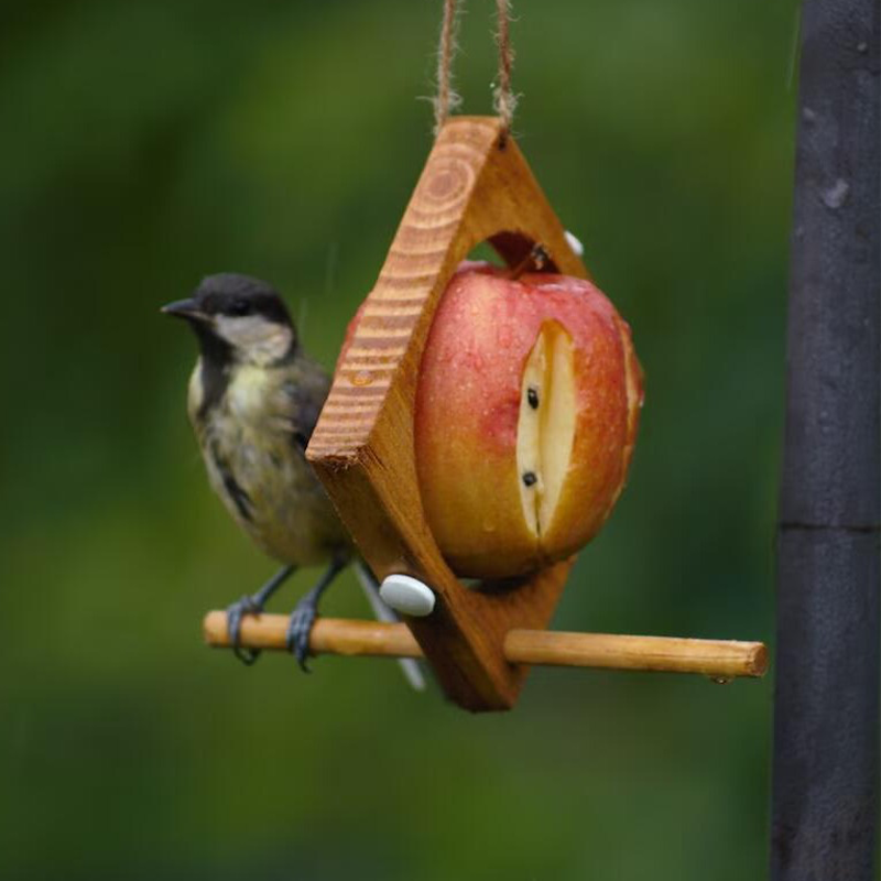 Tre fuglemater