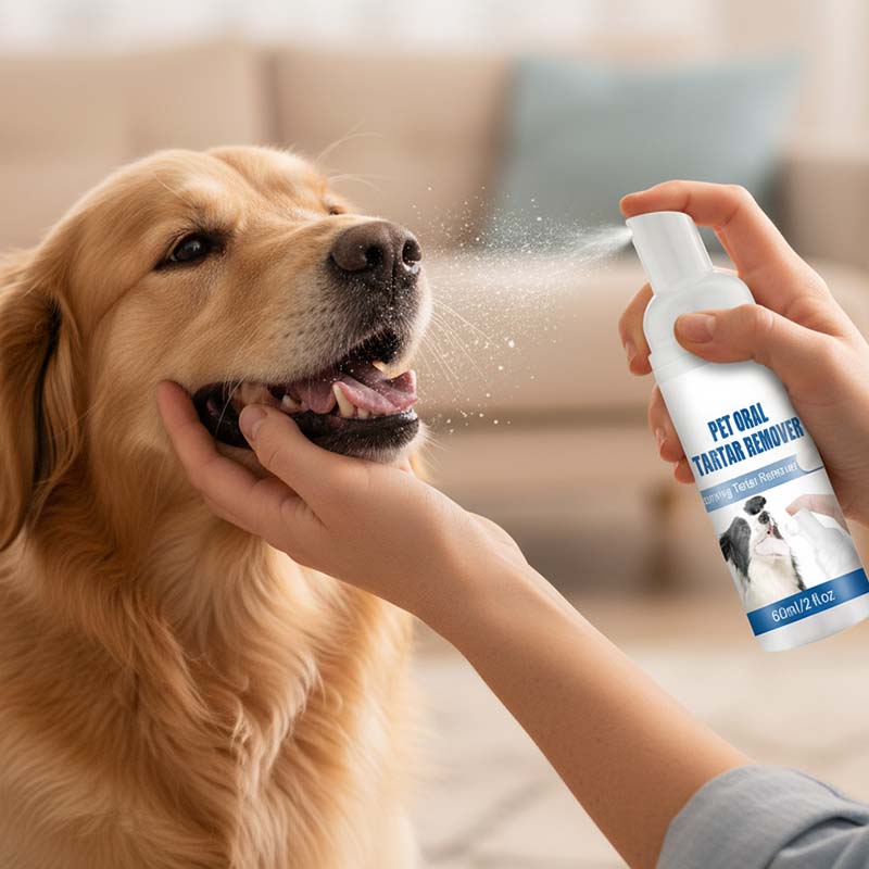 Kjæledyr Tannstein Pleiespray