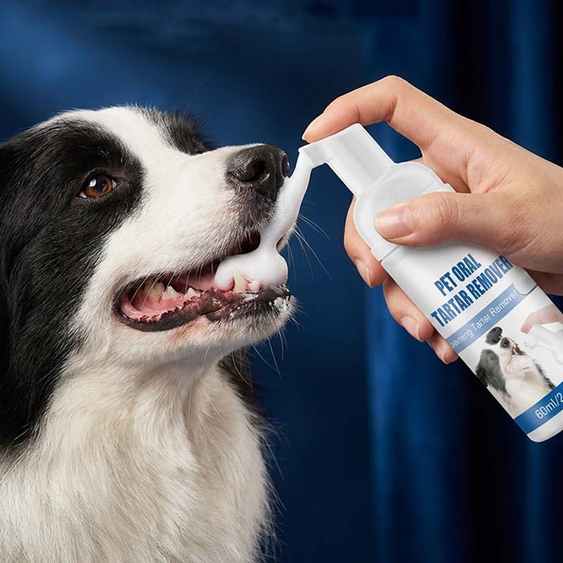 Kjæledyr Tannstein Pleiespray