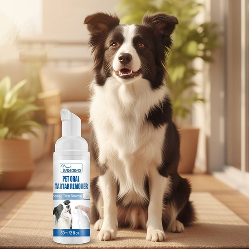 Kjæledyr Tannstein Pleiespray